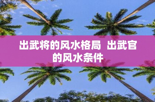 出武将的风水格局 出武官的风水条件