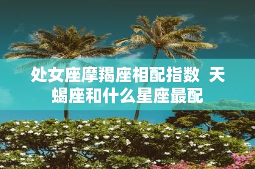 处女座摩羯座相配指数 天蝎座和什么星座最配