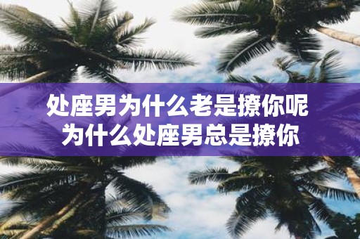 处座男为什么老是撩你呢 为什么处座男总是撩你