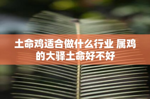 土命鸡适合做什么行业 属鸡的大驿土命好不好