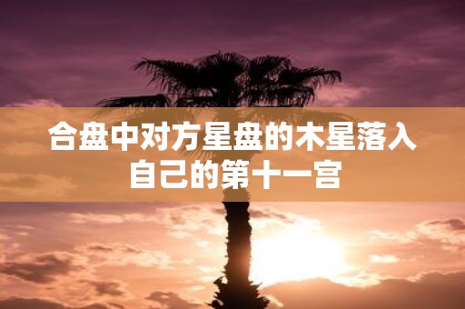合盘中对方星盘的木星落入自己的第十一宫