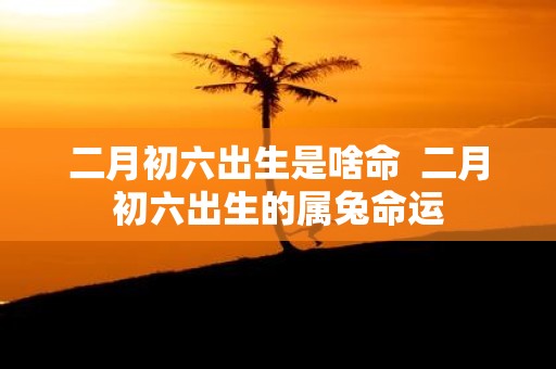 二月初六出生是啥命 二月初六出生的属兔命运