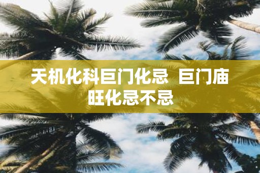 天机化科巨门化忌 巨门庙旺化忌不忌