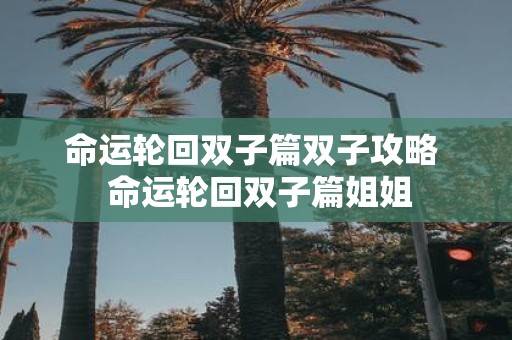 命运轮回双子篇双子攻略 命运轮回双子篇姐姐