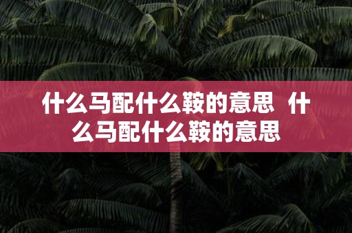 什么马配什么鞍的意思 什么马配什么鞍的意思