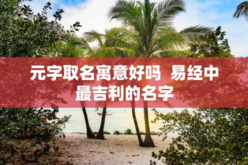 元字取名寓意好吗 易经中最吉利的名字