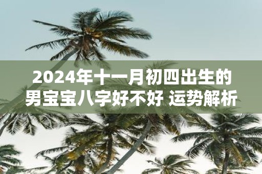 2025年十一月初四出生的男宝宝八字好不好 运势解析