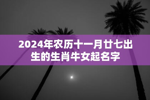 2025年农历十一月廿七出生的生肖牛女起名字