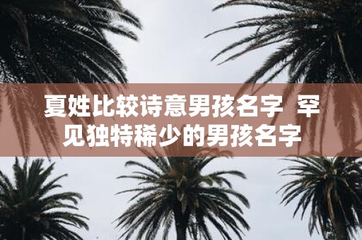 夏姓比较诗意男孩名字 罕见独特稀少的男孩名字
