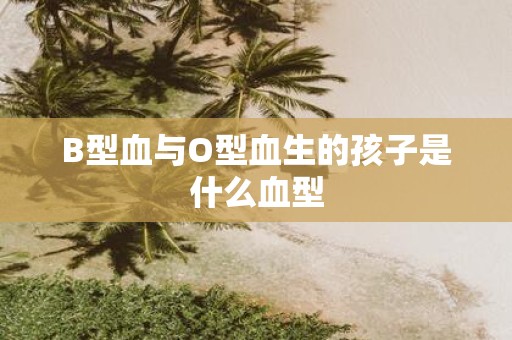 B型血与O型血生的孩子是什么血型