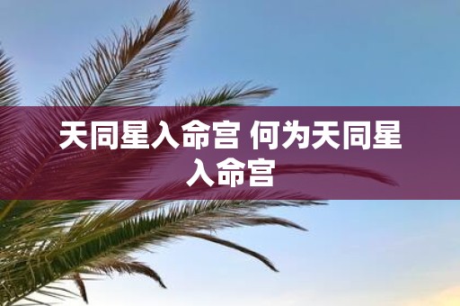 天同星入命宫 何为天同星入命宫