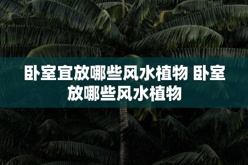 卧室宜放哪些风水植物 卧室放哪些风水植物