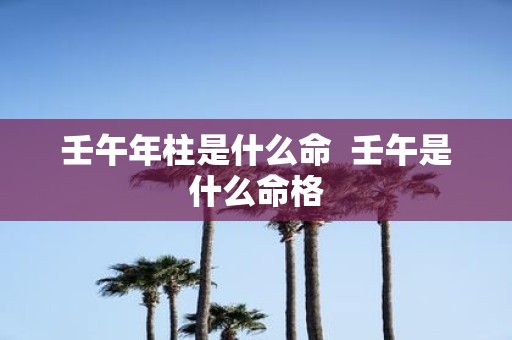 壬午年柱是什么命 壬午是什么命格