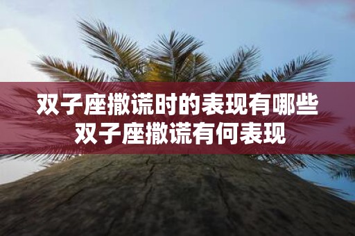 双子座撒谎时的表现有哪些 双子座撒谎有何表现