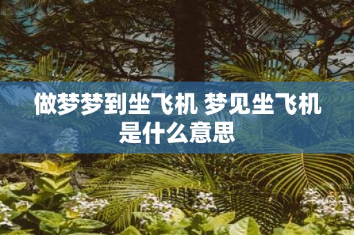 做梦梦到坐飞机 梦见坐飞机是什么意思