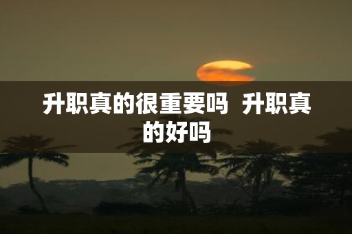 升职真的很重要吗 升职真的好吗