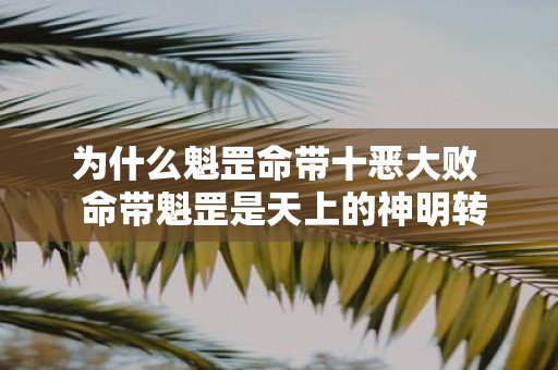 为什么魁罡命带十恶大败 命带魁罡是天上的神明转世