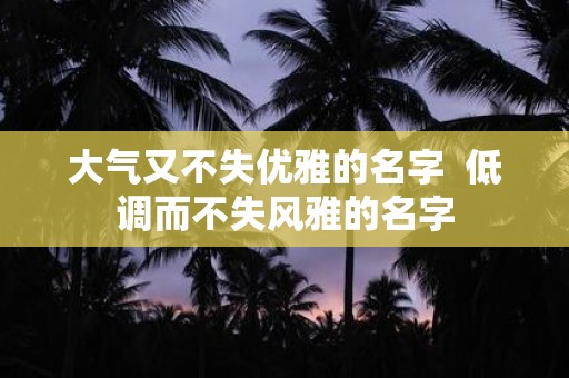 大气又不失优雅的名字 低调而不失风雅的名字