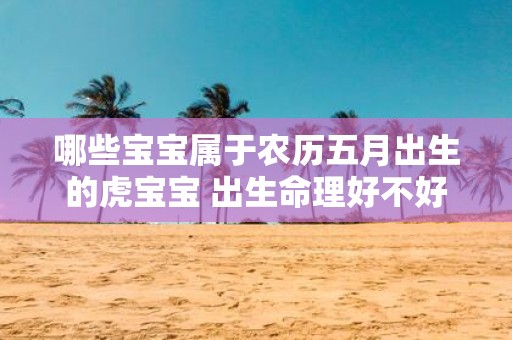 哪些宝宝属于农历五月出生的虎宝宝 出生命理好不好
