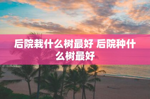 后院栽什么树最好 后院种什么树最好