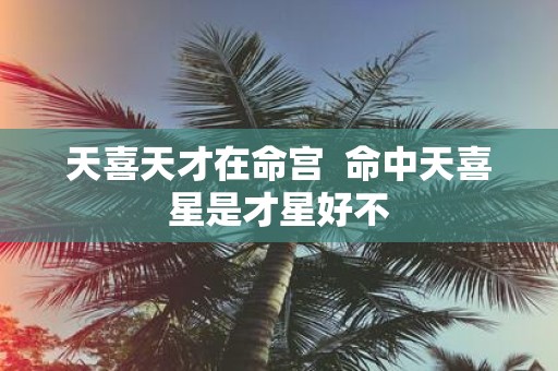 天喜天才在命宫 命中天喜星是才星好不