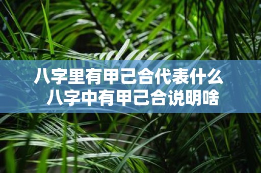 八字里有甲己合代表什么 八字中有甲己合说明啥