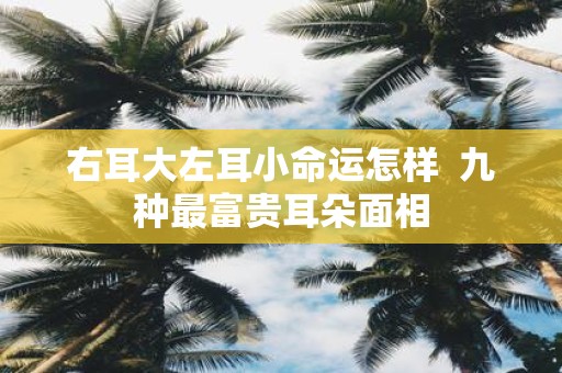 右耳大左耳小命运怎样 九种最富贵耳朵面相