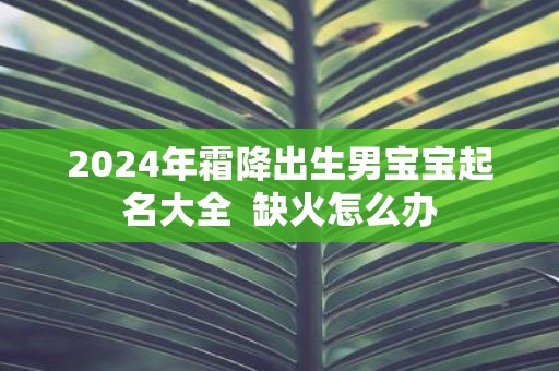 2025年霜降出生男宝宝起名大全 缺火怎么办
