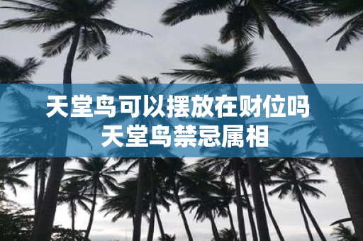 天堂鸟可以摆放在财位吗 天堂鸟禁忌属相