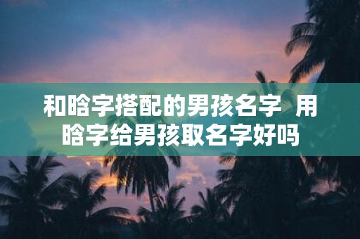和晗字搭配的男孩名字 用晗字给男孩取名字好吗