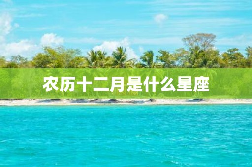 农历十二月是什么星座