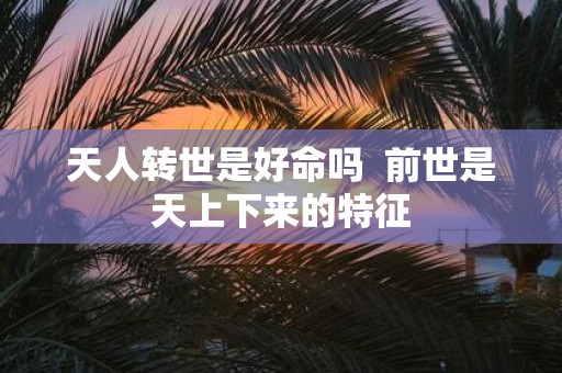 天人转世是好命吗 前世是天上下来的特征