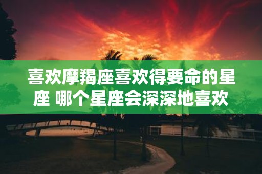 喜欢摩羯座喜欢得要命的星座 哪个星座会深深地喜欢上摩羯座