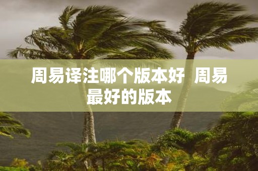 周易译注哪个版本好 周易最好的版本