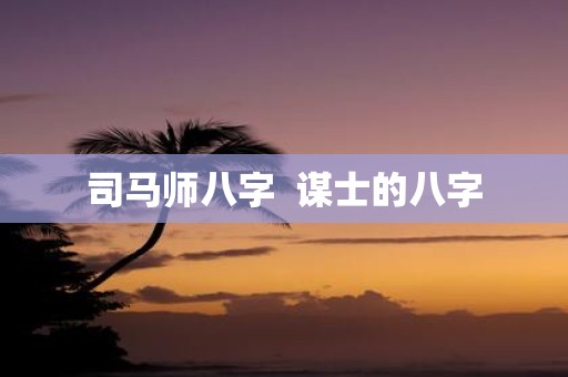 司马师八字 谋士的八字