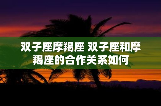 双子座摩羯座 双子座和摩羯座的合作关系如何