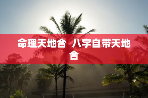 命理天地合 八字自带天地合