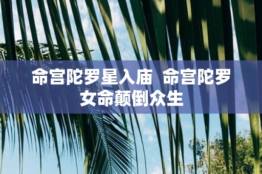 命宫陀罗星入庙 命宫陀罗女命颠倒众生