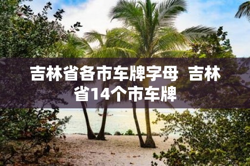 吉林省各市车牌字母 吉林省14个市车牌