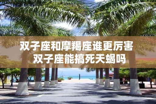 双子座和摩羯座谁更厉害 双子座能搞死天蝎吗