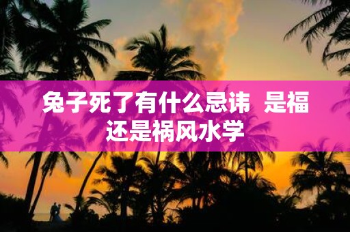 兔子死了有什么忌讳 是福还是祸风水学