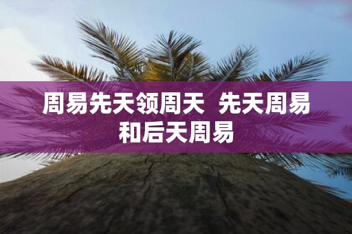 周易先天领周天 先天周易和后天周易