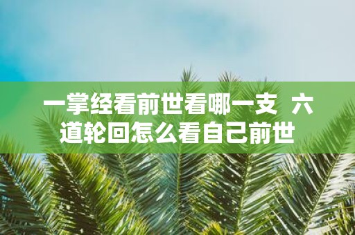 一掌经看前世看哪一支 六道轮回怎么看自己前世