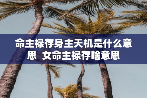 命主禄存身主天机是什么意思 女命主禄存啥意思