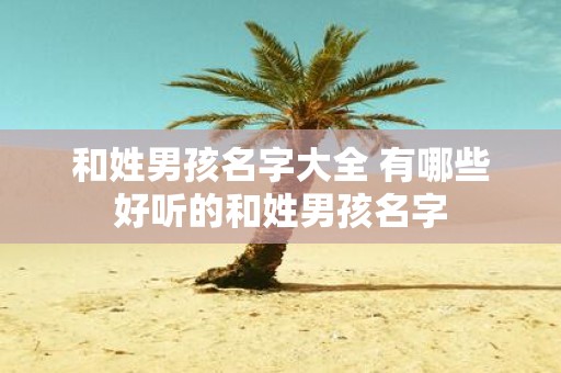 和姓男孩名字大全 有哪些好听的和姓男孩名字