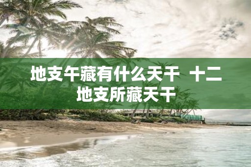 地支午藏有什么天干 十二地支所藏天干