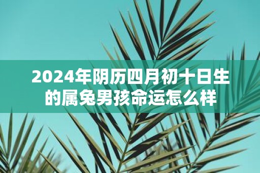 2025年阴历四月初十日生的属兔男孩命运怎么样