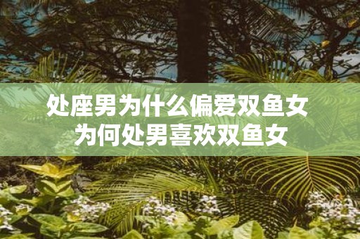 处座男为什么偏爱双鱼女 为何处男喜欢双鱼女