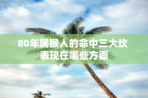 80年属猴人的命中三大坎 表现在哪些方面