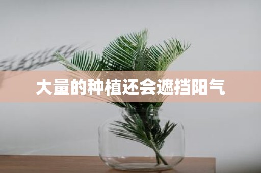 大量的种植还会遮挡阳气